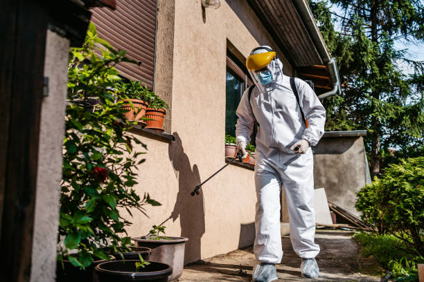 Best Emergency Pest Control  in Jackson, TN