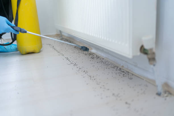 Best Cockroach Control Services  in Jackson, TN