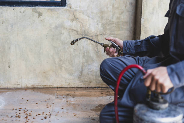 Best Residential Pest Control  in Jackson, TN