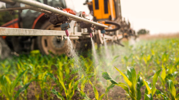 Best Commercial Pest Control Services  in Jackson, TN