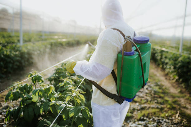 Reliable Jackson, TN Pest Control Solutions